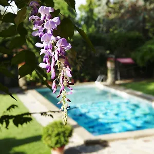 Hotell Park Palace